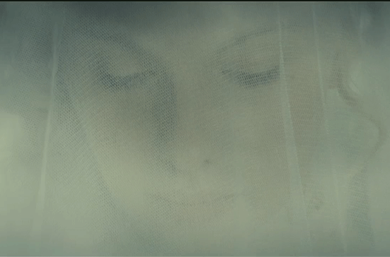 Bride's Face Under Wedding Veil GIF