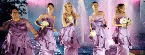 Bridesmaids Dancing GIF
