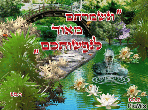 Bridge and River in Park with Flowers Trees