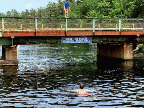 Bridge Over Water With Trees