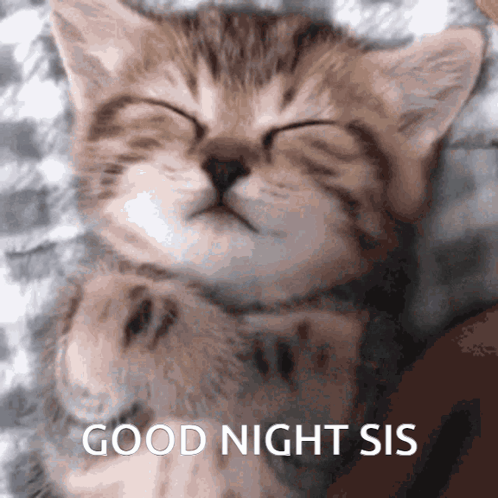Bridge With Star Heart Good Night Honey GIF