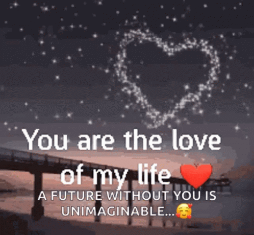 Bridge With You Are the Love of My Life