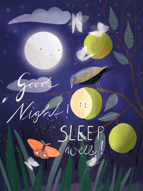 Bright Full Moon Have A Good Night Sleep GIF