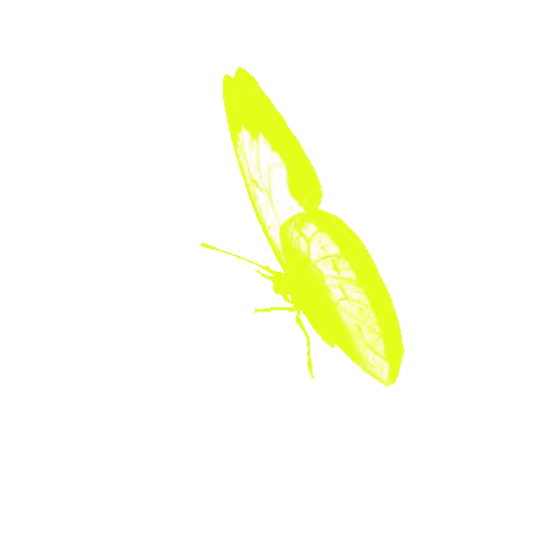 Bright Yellow Butterfly Flying