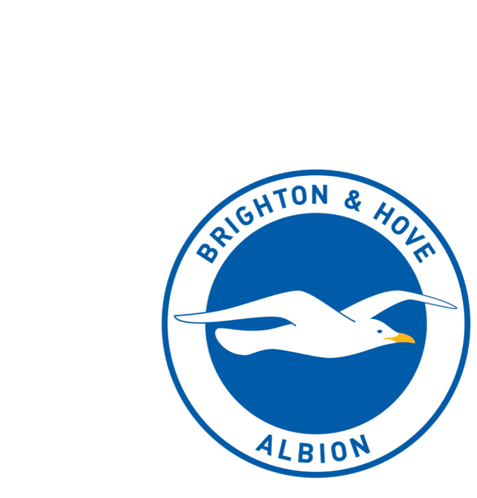 Brighton and Hove Albion Soccer Club Logo