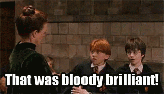 Brilliant Ron Weasley GIF