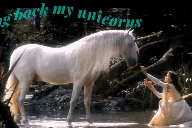 Bring Back My Unicorn GIF