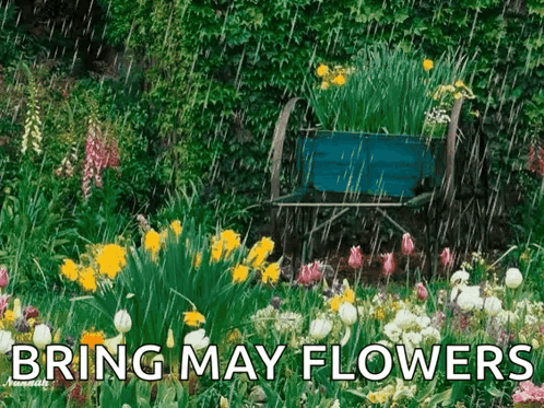 Bring May Flowers Garden GIF