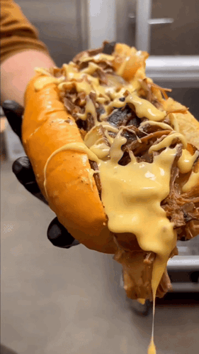 Brisket Long Cheesesteak GIF