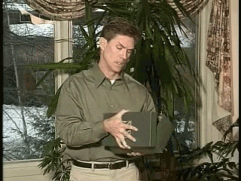 British Bush Shoe GIF