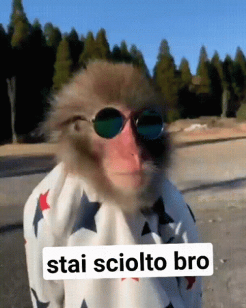 Bro Cool Monkey Wearing Sunglasses GIF