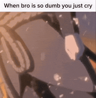 Bro Is So Dumb You Cry GIF