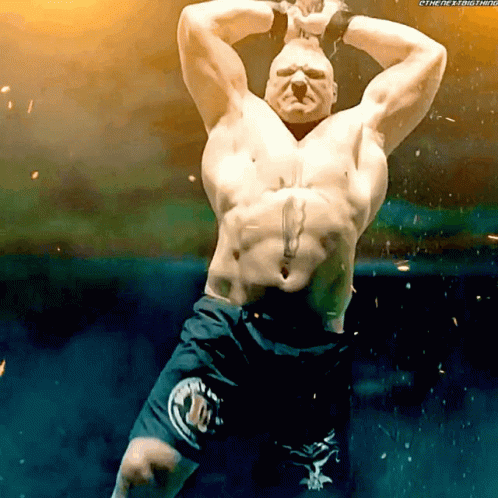 Brock Lesnar Had Arrive Ready To Fight GIF