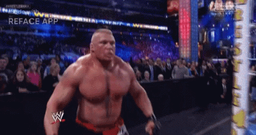 Brock Lesnar Vs Hunt 498 X 264 Gif GIF
