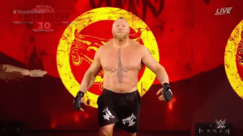 Brock Lesnar Vs Hunt 498 X 280 Gif GIF