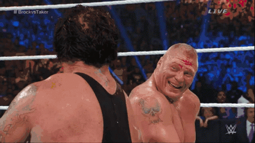 Brock Lesnar Vs Hunt 498 X 280 Gif GIF