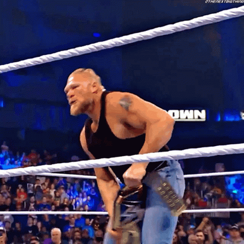 Brock Lesnar Vs Hunt 498 X 498 Gif GIF