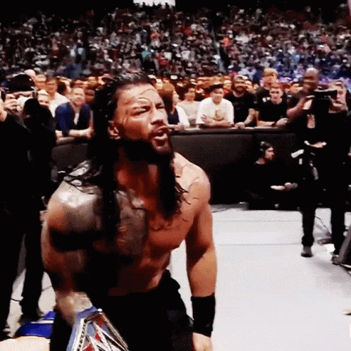 Brock Lesnar Vs Hunt 498 X 498 Gif GIF