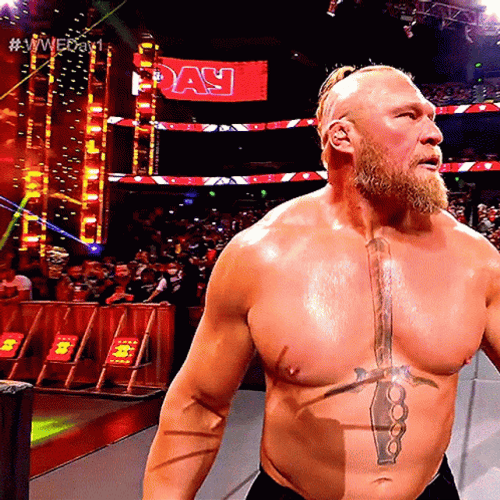 Brock Lesnar Vs Hunt GIF