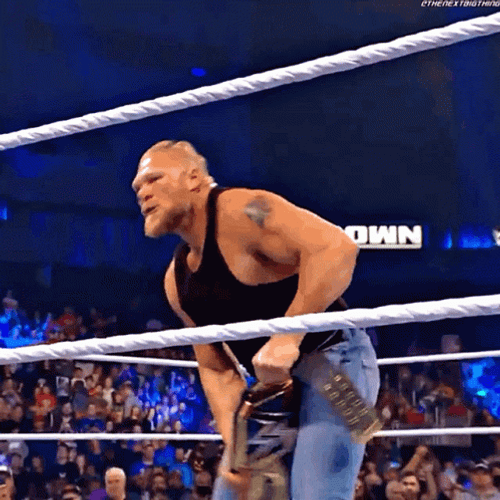 Brock Lesnar Vs Hunt GIF