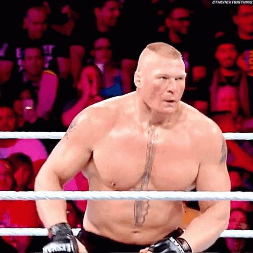 Brock Lesnar Vs Hunt GIF