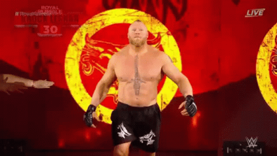 Brock Lesnar Vs Hunt GIF