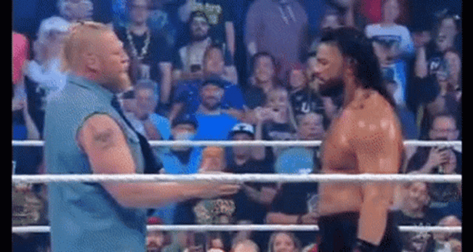 Brock Lesnar Vs Hunt GIF