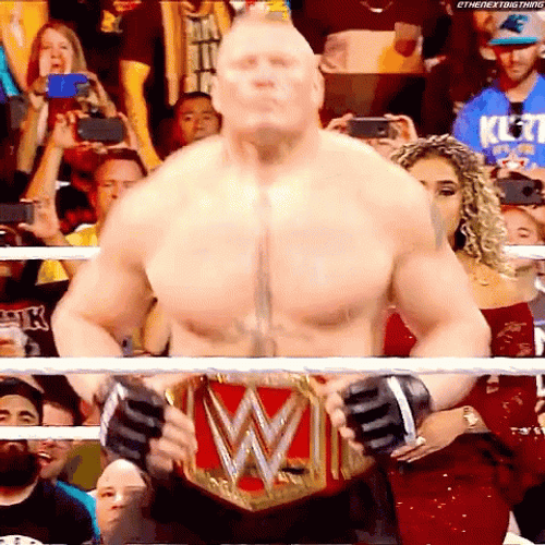 Brock Lesnar Vs Hunt GIF
