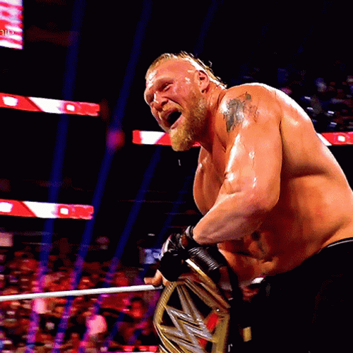 Brock Lesnar Vs Hunt GIF