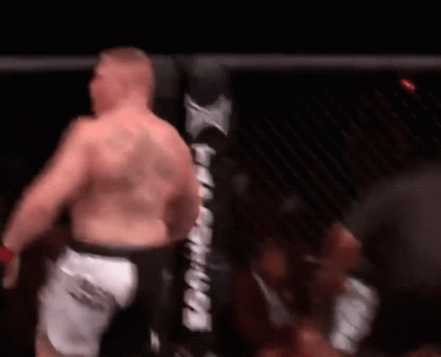 Brock Lesnar Vs Hunt GIF