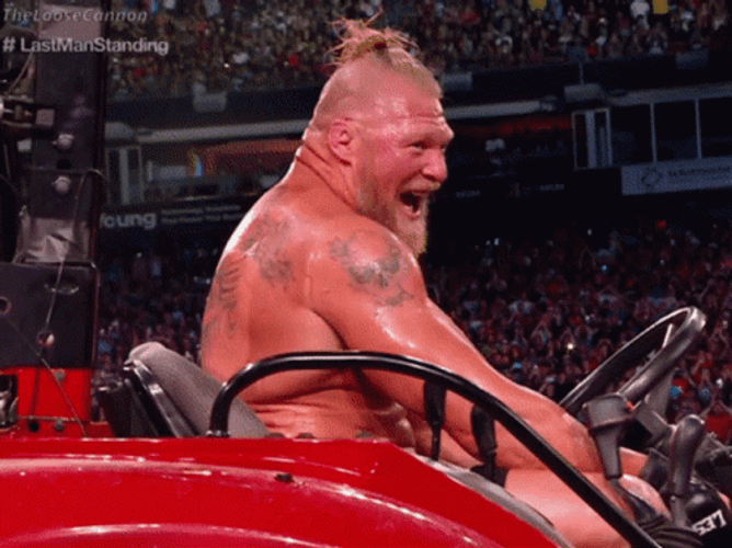 Brock Lesnar Vs Hunt GIF