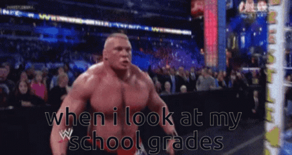 Brock Lesnar Vs Hunt GIF
