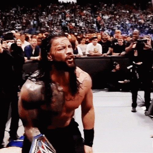 Brock Lesnar Vs Hunt GIF