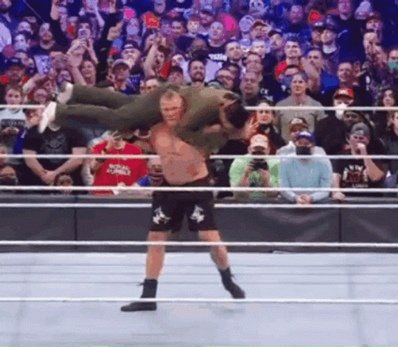 Brock Lesnar Vs Hunt GIF