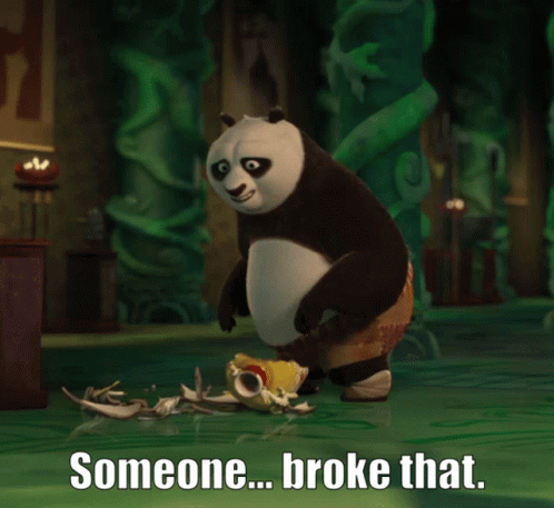 Kung Fu Panda Someone Broke That GIF