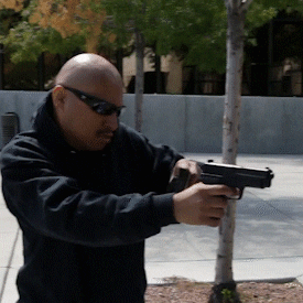 Broke Ass Bitch No Money GIF