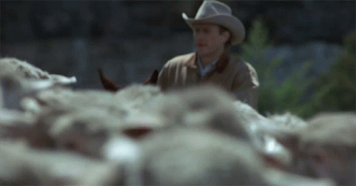 Ennis Riding Horse Brokeback Mountain GIF