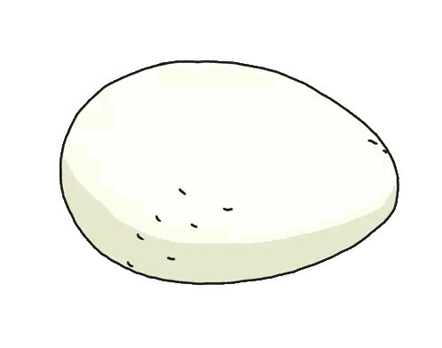 Broken Egg With Yellow Yolk