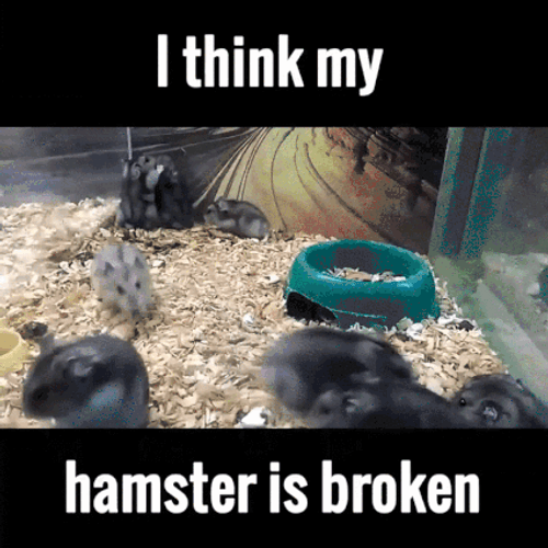 Broken Hamster Flipping Over Meme GIF