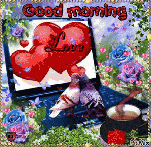 Broken Heart You Are the Magic in My Life Rose