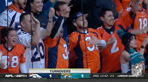 Broncos Getting On The Bleacher GIF