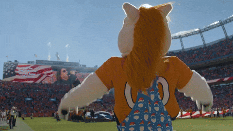 Broncos Mascot On High Spirit GIF