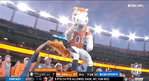 Broncos Mascot Sharing The Vibe GIF