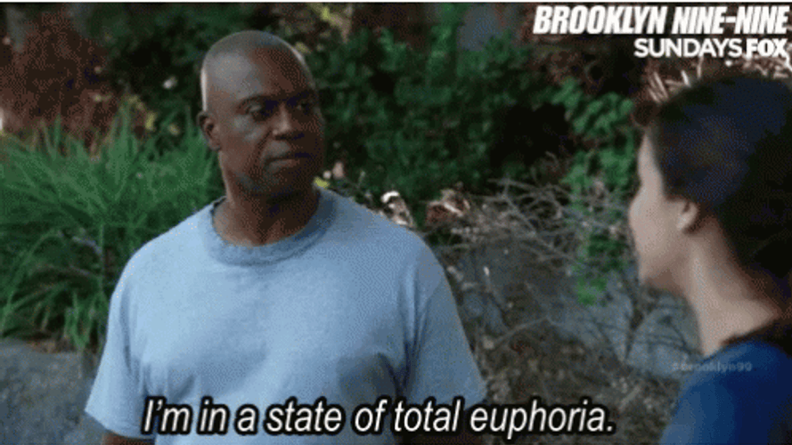 Brooklyn 99 Captain Ray In Total Euphoria GIF