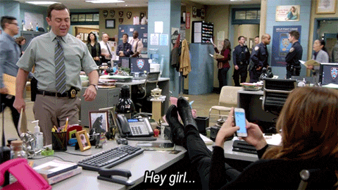 Brooklyn Nine Nine Boyle And Gina Hey Girl GIF