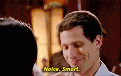 Brooklyn Nine-nine Detective Jake Noice Smart GIF