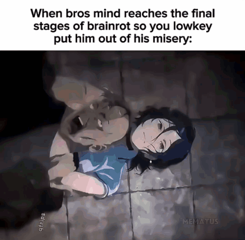 Bros Brainrot Final Stages Meme GIF