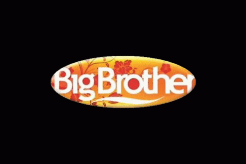 Brother 498 X 332 Gif GIF