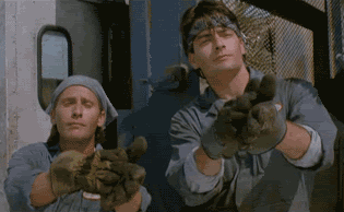Brothers Charlie Sheen Emilio Estevez Golf Clap GIF