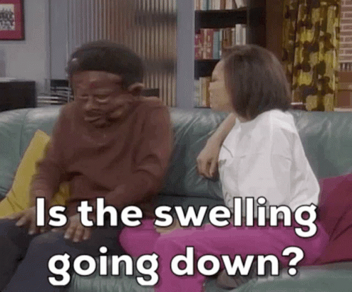 Brown And Tan Dog With Beehive Making Funny Face GIF